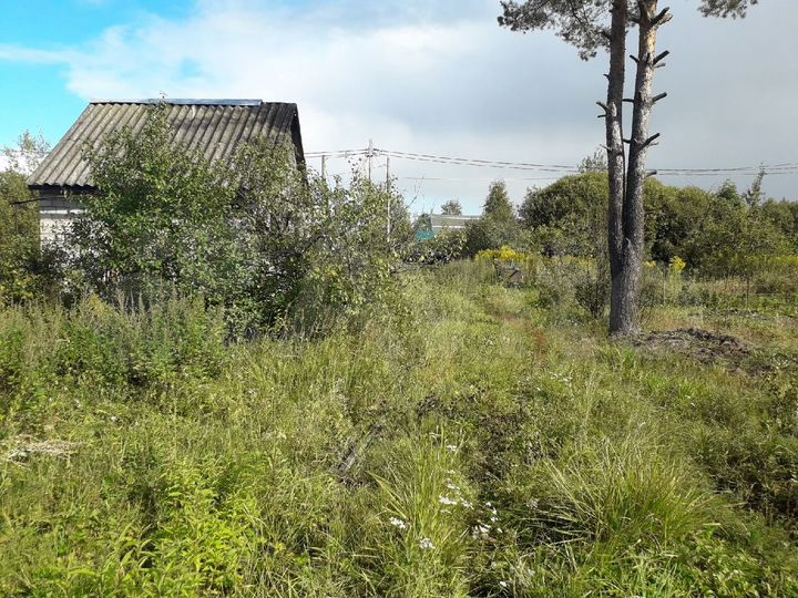 Участок 12 сот. (СНТ, ДНП)