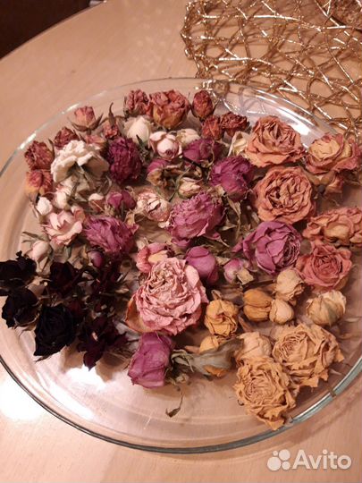 Сухие цветы для творчества и дизайна