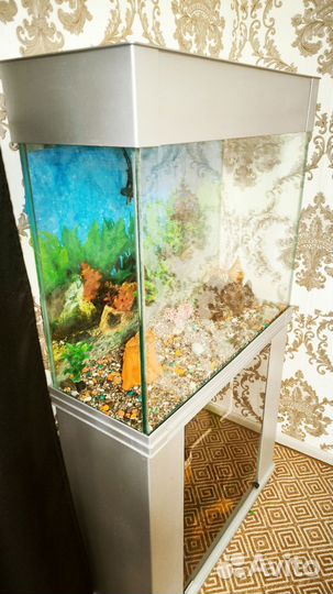 Аквариум с тумбой 100л