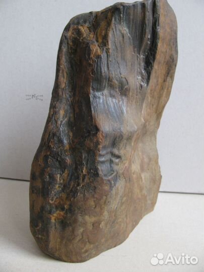 Окаменелое дерево (природная скульптура)