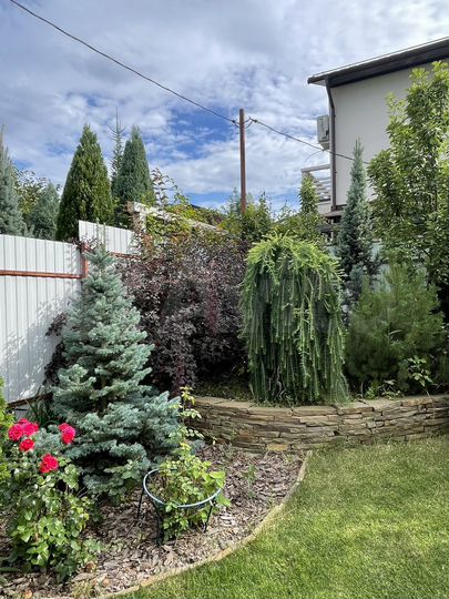 Дом 100 м² на участке 3 сот.