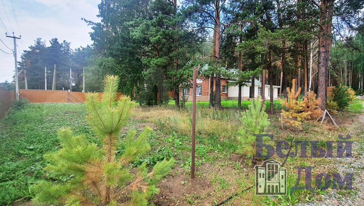 Участок 13,2 сот. (СНТ, ДНП)