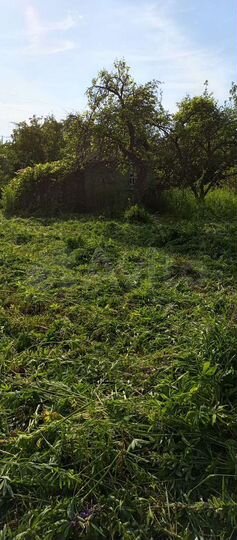 Дача 10 м² на участке 6 сот.