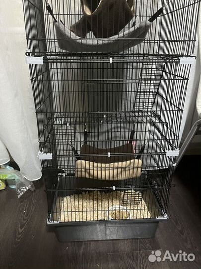 Клетка для крыс