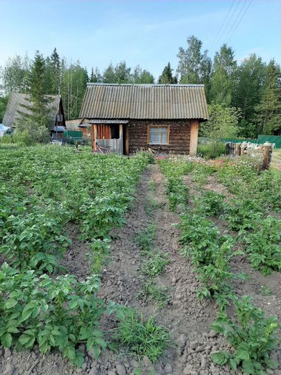 Участок 5 сот. (СНТ, ДНП)