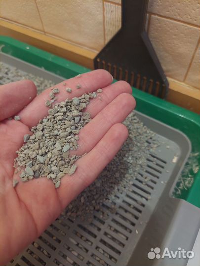 Наполнитель для кошачьего туалета