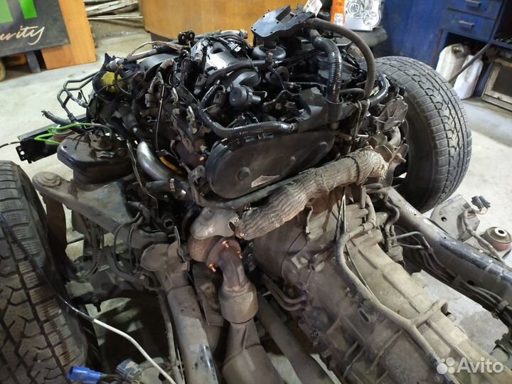 Двс на Fiat по предзаказу