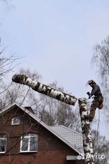 Удаление и кронирование деревьев