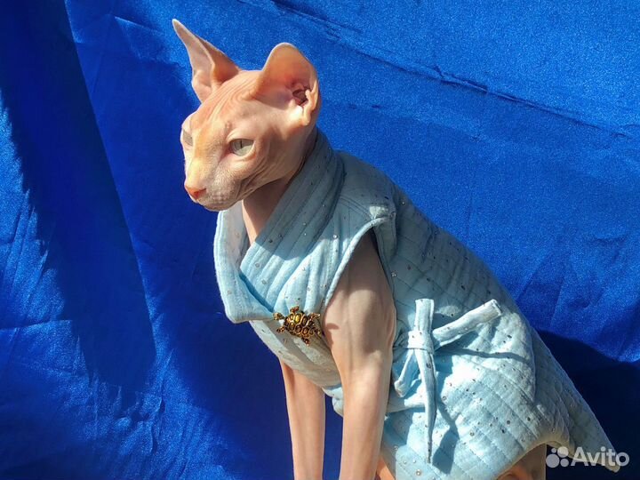 Выкройки одежды для животных / построение выкроек