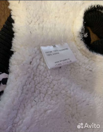 Одежда для собак