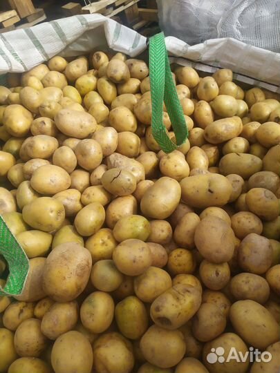Продам картофель оптом и мелкий опт