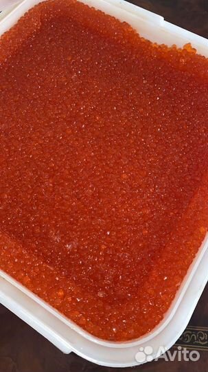 Красная Икра