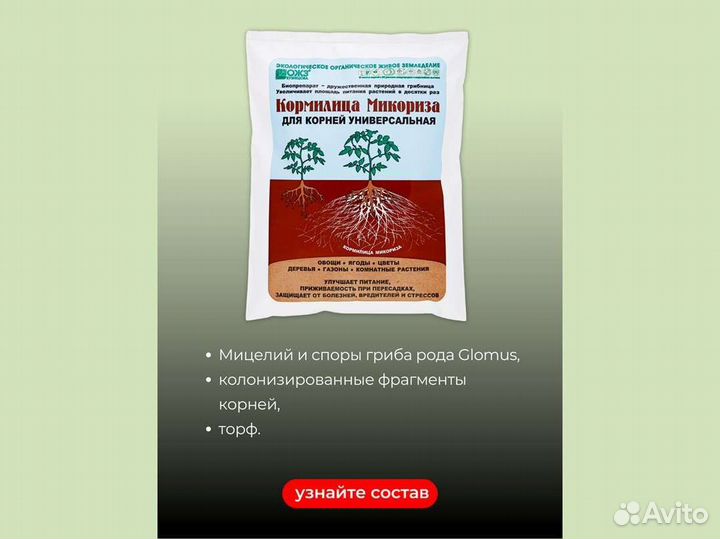 Кормилица Микориза