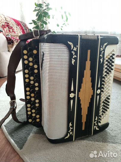 Баян Беларусь