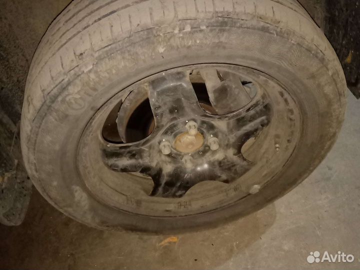 Continental ContiPremiumContact 5 205/55 R16