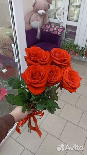 Розы,Цветы опт и розница