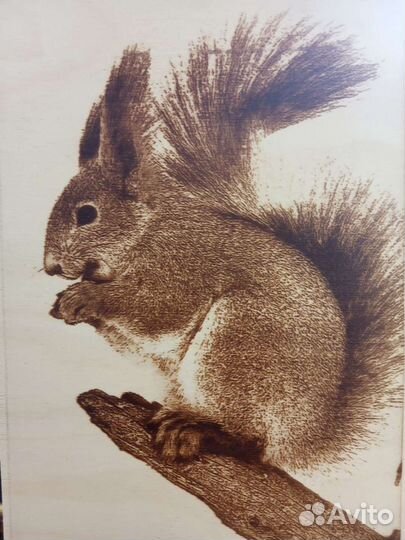 Выжигание по фото