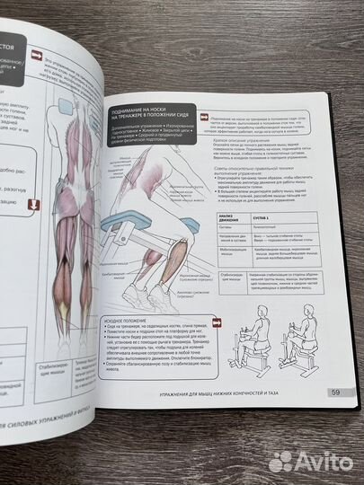 Атлас анатомии для силовых упражнений и фитнеса