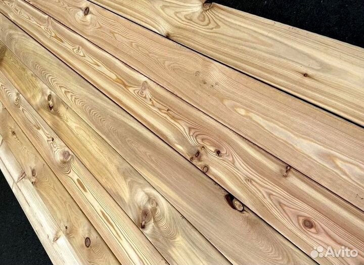 Планкен болшьшой выбор