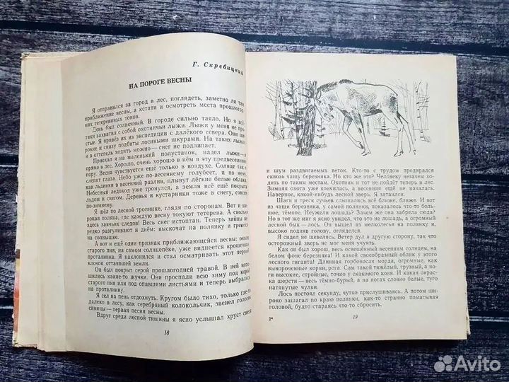 Заботливый цветок. Рассказы сказки о природе 1967