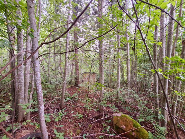 Участок 8 сот. (СНТ, ДНП)