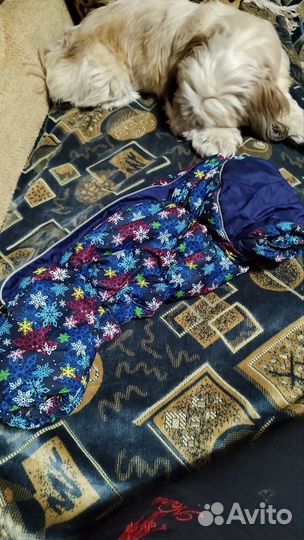 Дождевик утепленный для собаки