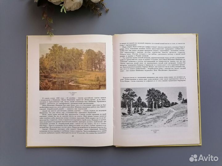 Родник в лесу. Повесть о художнике Шишкине. 1987