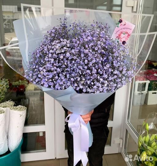 Гипсофила букет