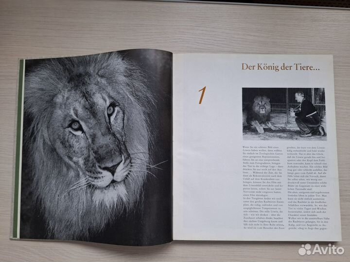 Фотоальбом «Как я их фотографировал» 1974 редкость