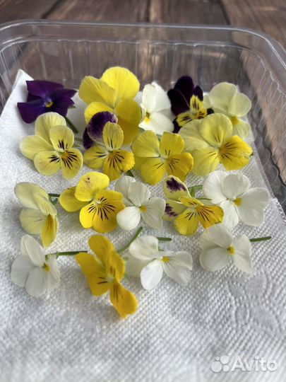 Виола - пищевые цветы