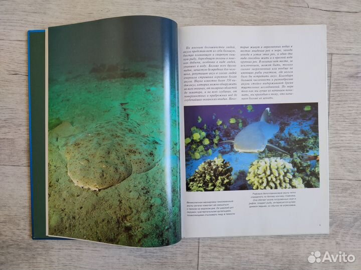 Акулы. Мир животных. Эндрю Клив