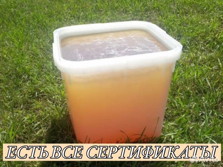 Мёд с Aлтaя опт