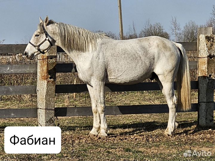 Сокращение поголовья