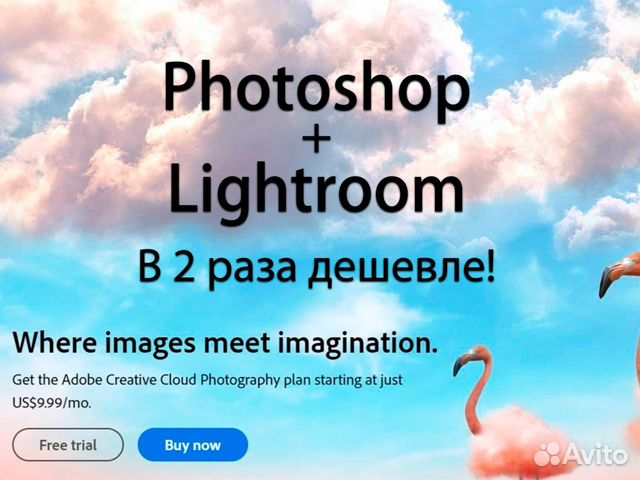Adobe Photograph Plan лицензия Photoshop Lightroom