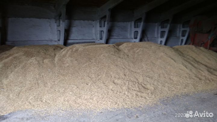 Дробленка, пшеница