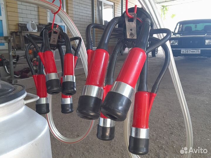 Доильный аппарат для коров