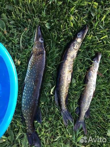 Рабалка в Карелии