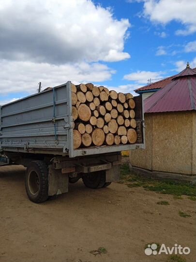 Дрова сосна, лиственница сырая