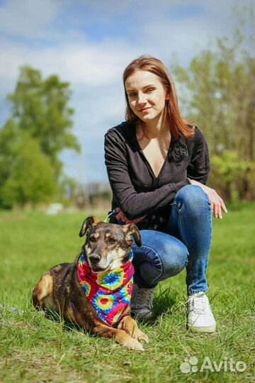 Старушка Магда ищет дом