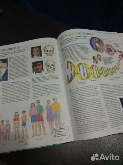 Большая энциклопедия эрудита Махаон