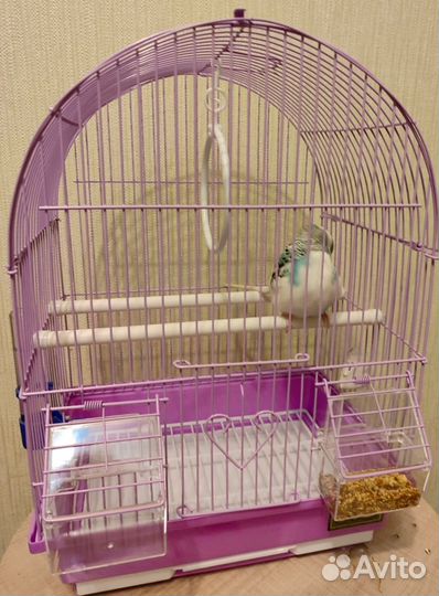 Клетка для попугая