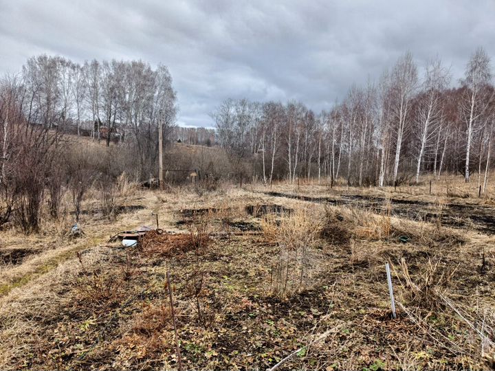 Участок 10 сот. (СНТ, ДНП)