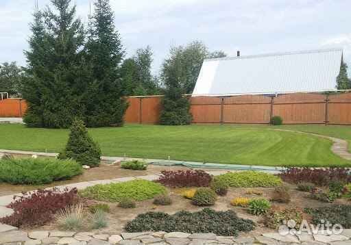 Рулонный газон /продажа/укладка