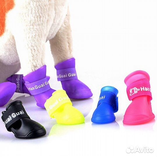 Новые сапожки и складная поилка для собак