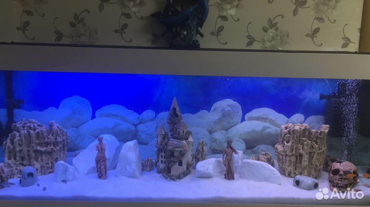 Аквариум с тумбой белый 650 литров