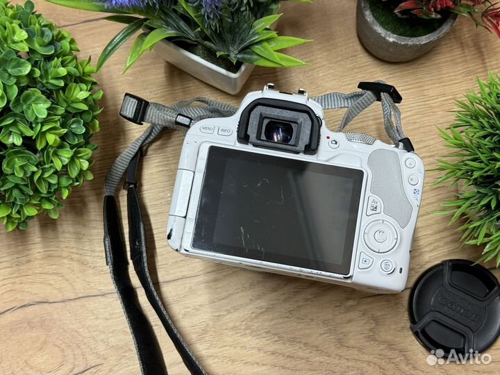 Canon EOS 200d 18-55 mm STM