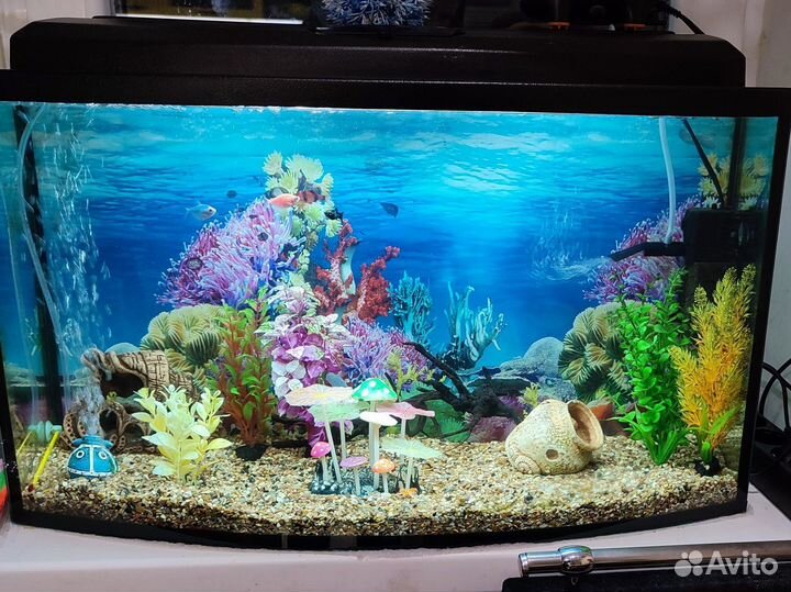 Аквариум