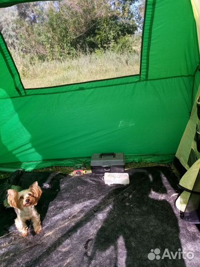 Палатка туристическая 