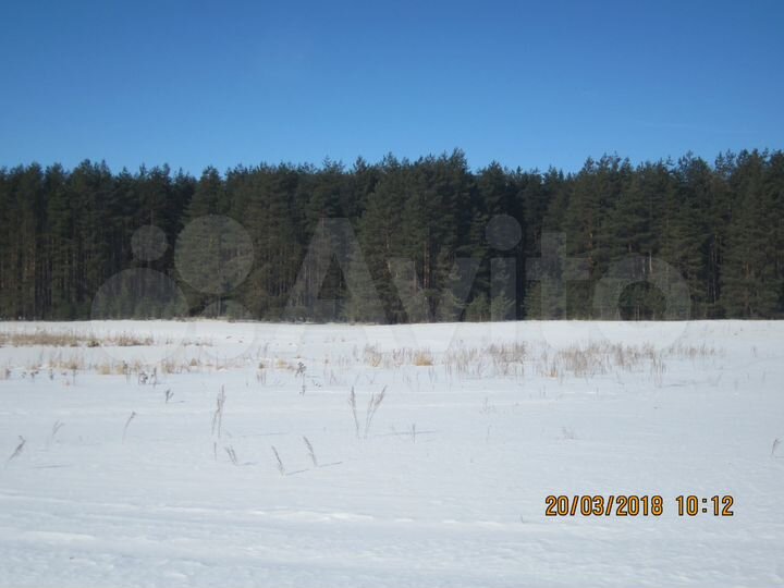 Участок 47,7 сот. (ИЖС)