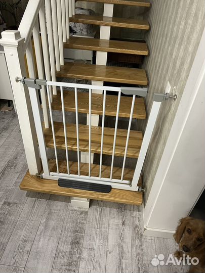 Дверца для собак